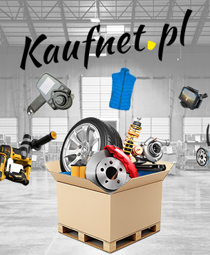 Iliustracja do portfolio Kaufnet Polska